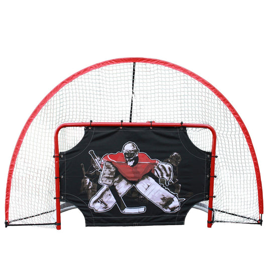 Goal_with_backstop_and_targetwall
