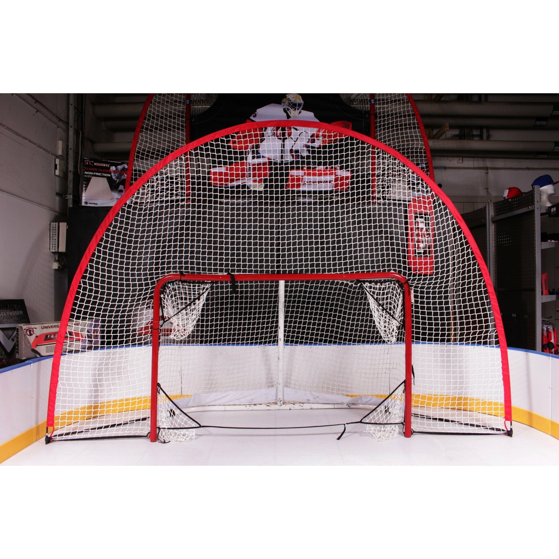 Goal_with_backstop